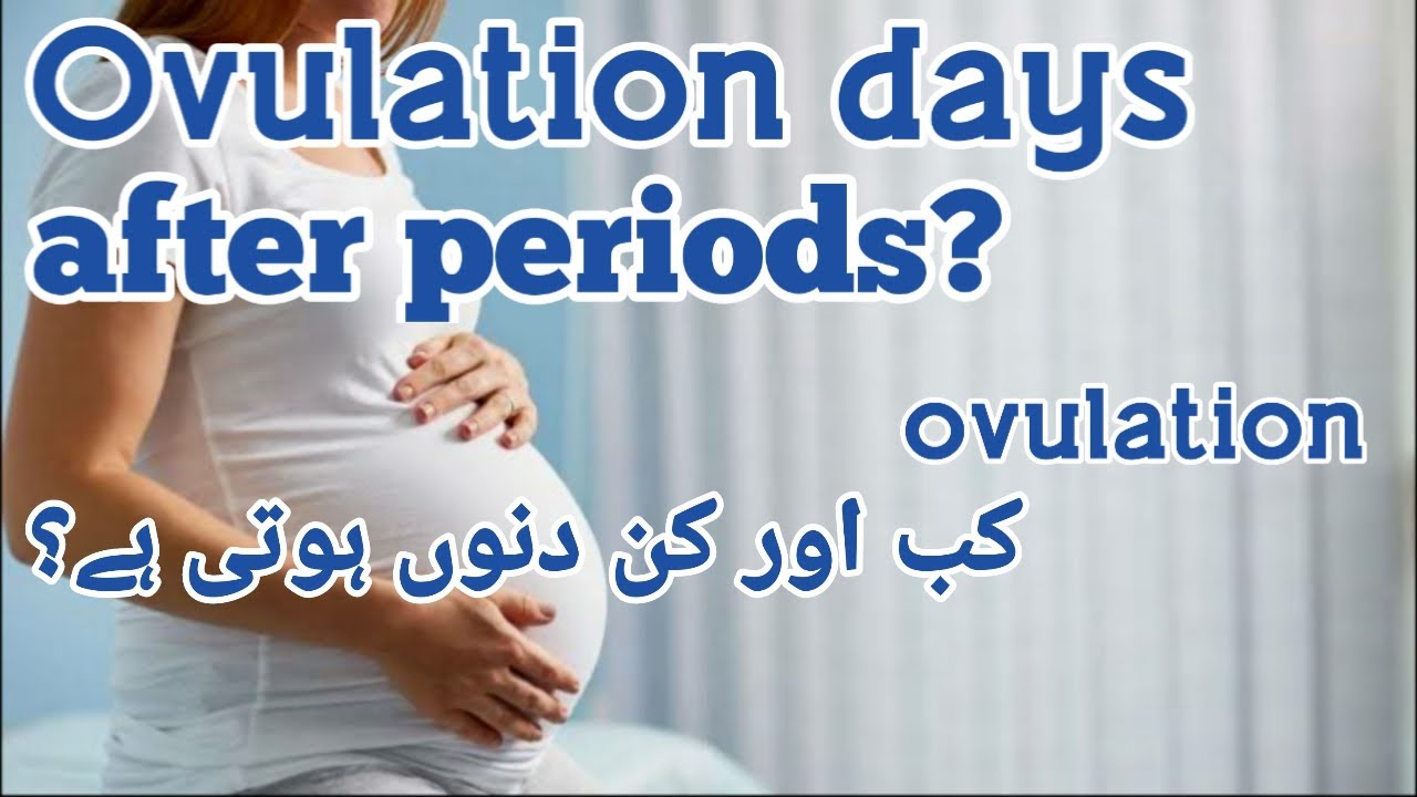 Ovulation Days After Period Fertile Days To Get Pregnant In Urdu hindi Ovulation Days After Period Fertile Days To Get Pregnant In Urdu hindi