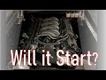 Mustang Coyote Swap Project First Start!!