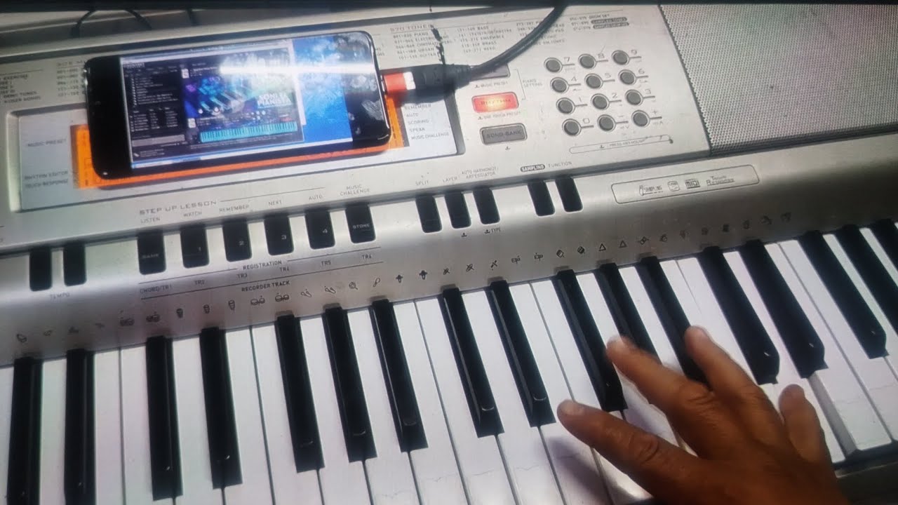 Kontakt en celular 100% real