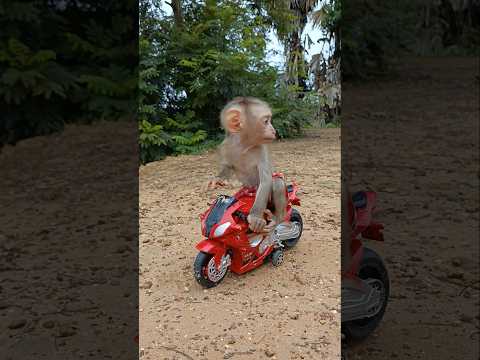 Perfect Video SokYaa Sokhaa To To And Mom Are Famous Amazing Shorts 