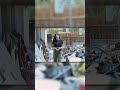 Family asking for help after home overrun with squatters, animals