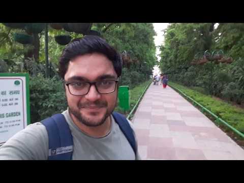 Video: Jardín Lodhi en Delhi: la guía completa