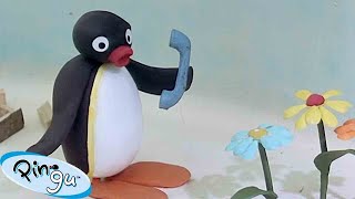 Pingu's Wild Imagination  | Pingu  Official Channel | Cartoons For Kids