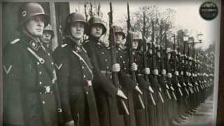 The DARK Reason Captured German Soldiers Were SH0T