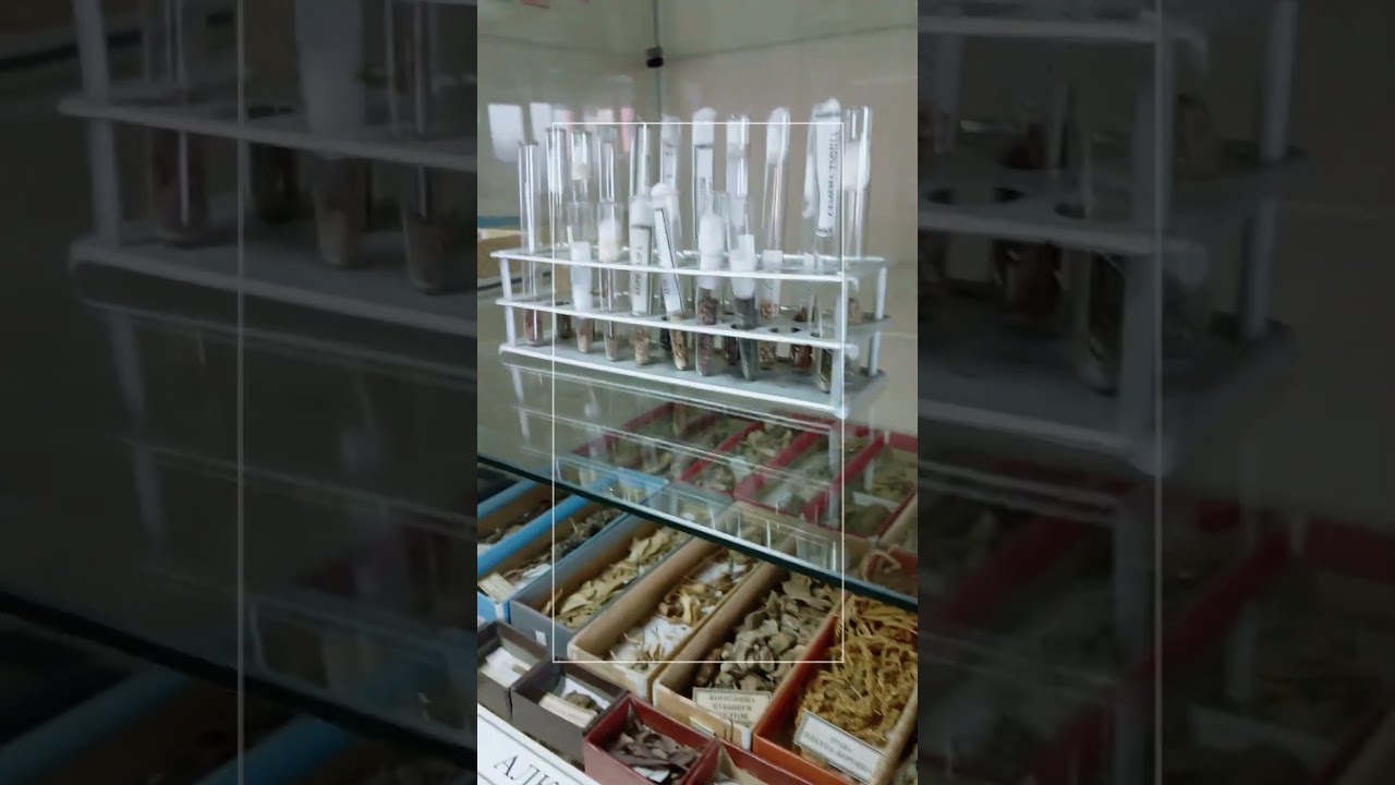 Pharma building of kemsu