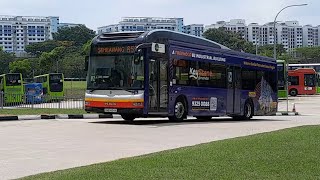 (Keystone@Mandai Full Body Advertisement) SMB1434K On Service 859 At Sembawang Interchange 