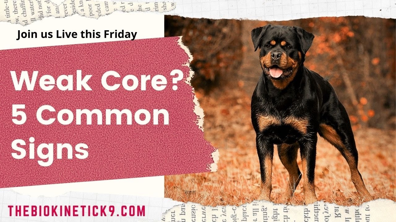 Weak Core?  5 Common Signs