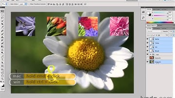 Photoshop CS5 Tutorials-14 Working with Layers 8 . Align