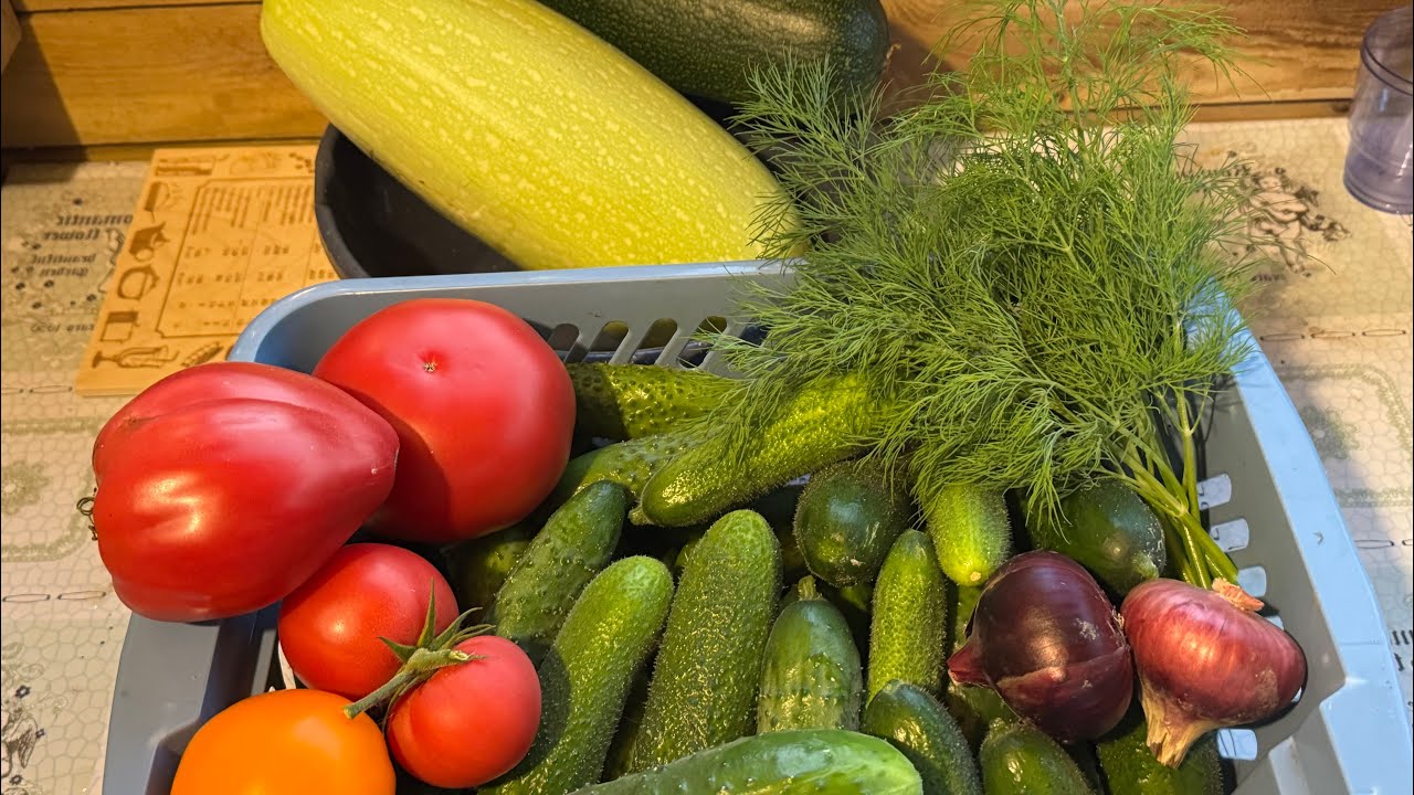 05.09.25 привет из огорода! Перцы подросли