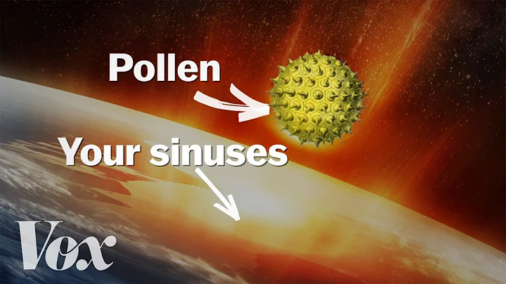 What allergies are in Utah? (2023)