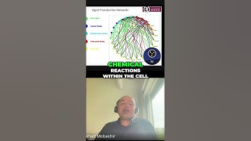 Signaling Network Understanding Protein Interactions & Mathematical Model #viralvideo #video #videos