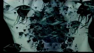 The Red Chord-Dread Prevailed