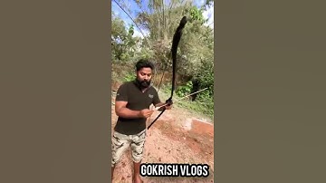 #M4TECH #WHATSAPP #STATUS   #MALAYALAM #JIOMACHAN