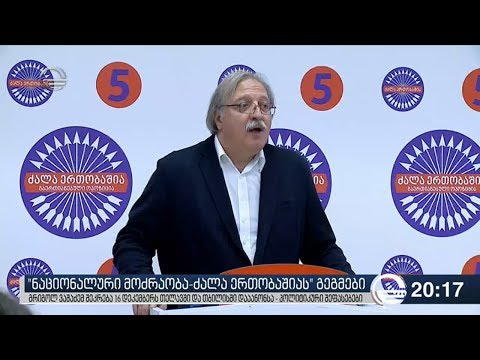 „ნაციონალური მოძრაობა - ძალა ერთობაშიას“ გეგმები