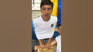 Tutorial Bird on the Arm