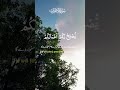 Surha Ayyat Quran Islamicscripture Viralvideo Surha Ayyat Quran Islamicscripture Viralvideo