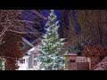 С НОВЫМ ГОДОМ ВСЕХ МОИХ ЛЮБИМЫХ ЗРИТЕЛЕЙ!!! 🎄🎄🎄