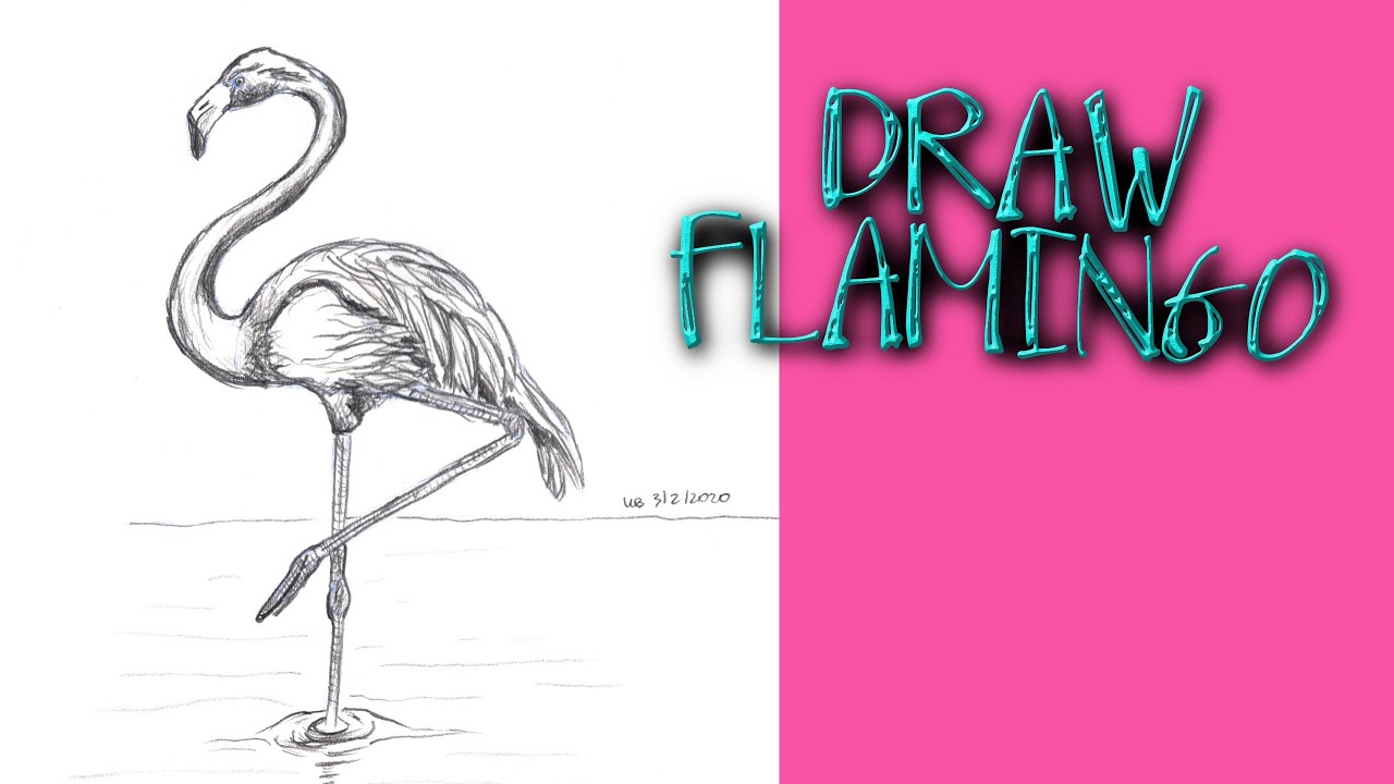 Drawing Flying Flamingo Realistic Sketch Tropical Stock Vector (Royalty  Free) 1722841327 | Shutterstock