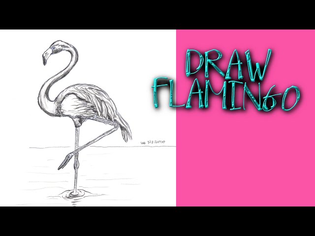 Pink Flamingo Drawing by sunshineLvr on DeviantArt | How to draw flamingo,  Bird drawings, Pencil drawings of animals