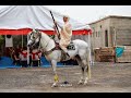 فرسان ولاد بوطارة عرس قوماش سامي سطيف الجزء الاول فرسان ولاد بوطارة عرس قوماش سامي سطيف الجزء الاول