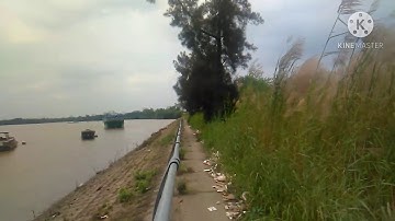 Điểm câu cá lý tưởng cho ae, giới thiệu và chia sẽ điểm câu cá sông Nhà Bè/Duy Cá Ngát