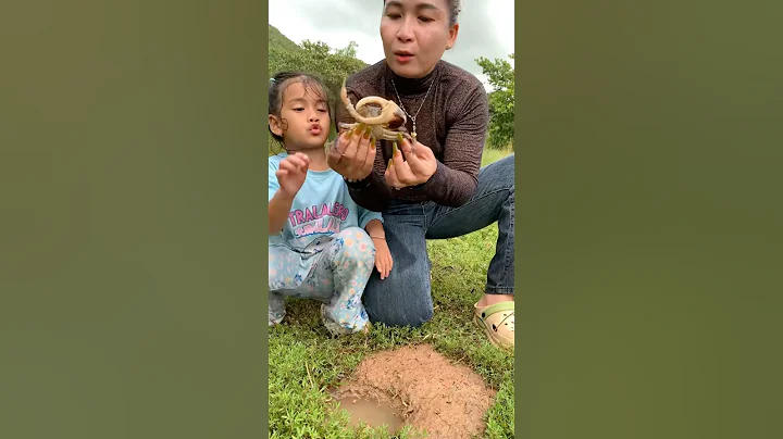 Survival skills: SIMPLE and USEFUL with Catch Crabs in hole #outdoors #bushcrafts#campping