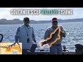 Walleye Fishing in the Montana Governor&#39;s Cup Tournament