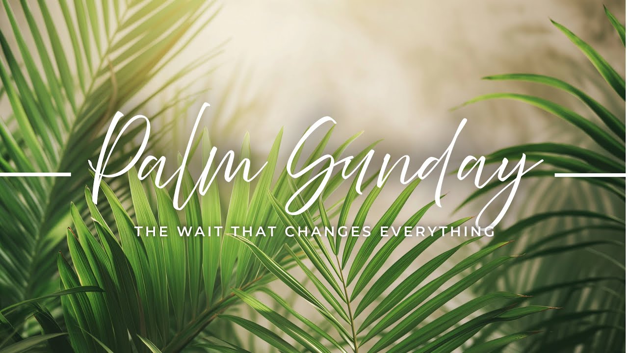 Palm Sunday - “The Wait That Changes Everything” | Pr. @Enaldyleite — MPChurch sermon by MPChurch