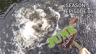 June Muskies Fishing Bucktails | DO IT RIGHT! S5.E06