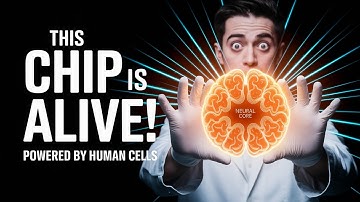 HUMAN BRAIN CELLS Power the World