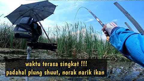 Di jamin , Spot ini bikin ketagihan pemancing 