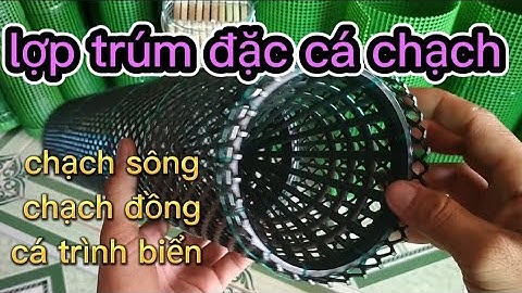 lợp trúm đặc cá chạch sông , chạch đồng , cá trình biển mới nhất 2023 (hết hàng)