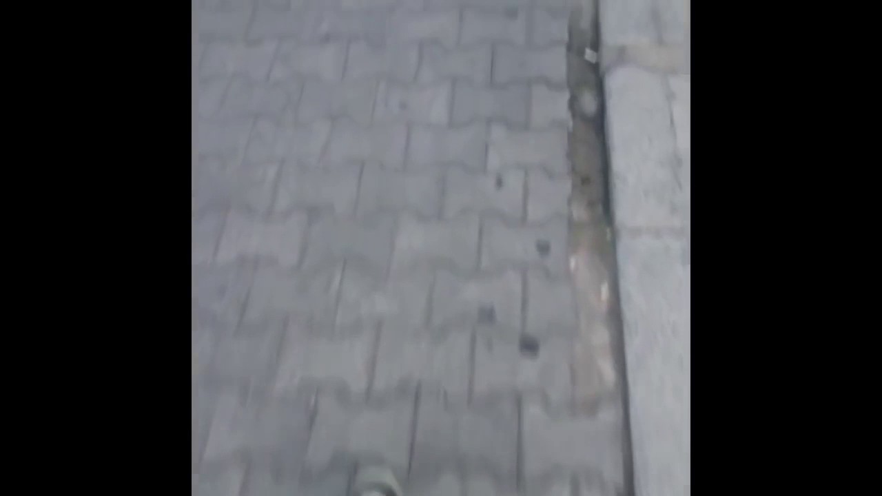 ������������