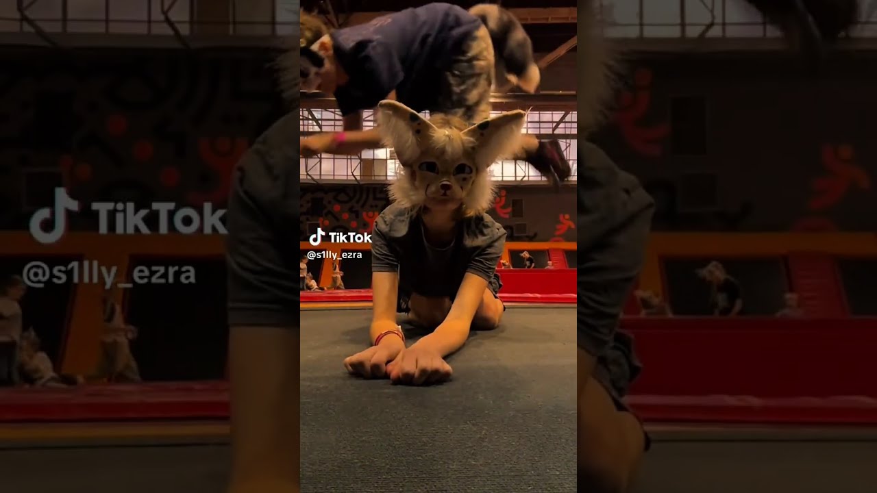 🥳~Happy very really early Therianthropy day!!!~💖🎊🐾 TikTok comp pt #15