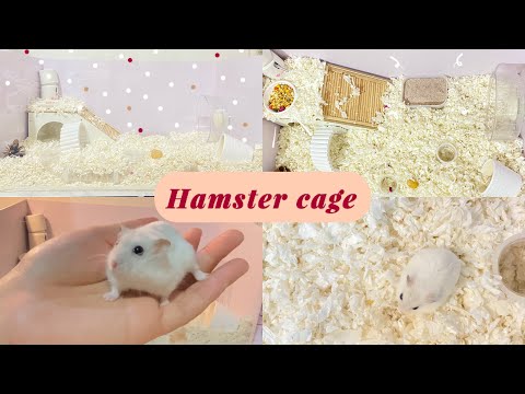 Hamster cage - แต่งบ้านใหม่ให้เจ้าหนูแฮมเตอร์กัน ! 🐹 | @whiteday