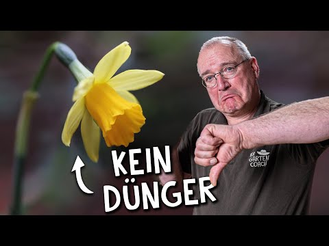 Video: Pflanzen mit grünen Blumen: Erfahren Sie mehr über den Anbau grüner Blumen