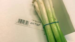 SPRING ONION - BUNCHING TAGGING PRINTING AND CUTTING LINE