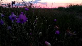 Прекрасный закат солнца, звуки природы... Приятного просмотра перед сном!