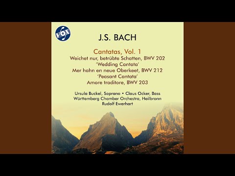 Mira Mer hahn en neue Oberkeet, BWV 212 "Peasant Cantata": No. 12, Fünfzig Taler bares Geld en YouTube