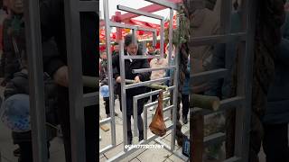 Todos Pararam Para Ver Esse Desafio