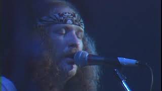 Video thumbnail of "Outlaws - Green Grass And High Tides - 11/10/1978 - Capitol Theatre"