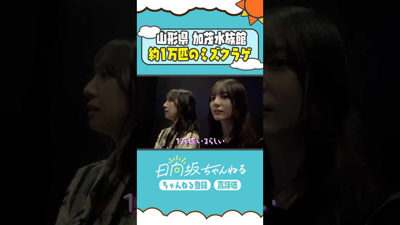 大好きなクラゲに大興奮🪼 #shorts  #日向坂46 #日向坂ちゃんねる #金村美玖 #小坂菜緒