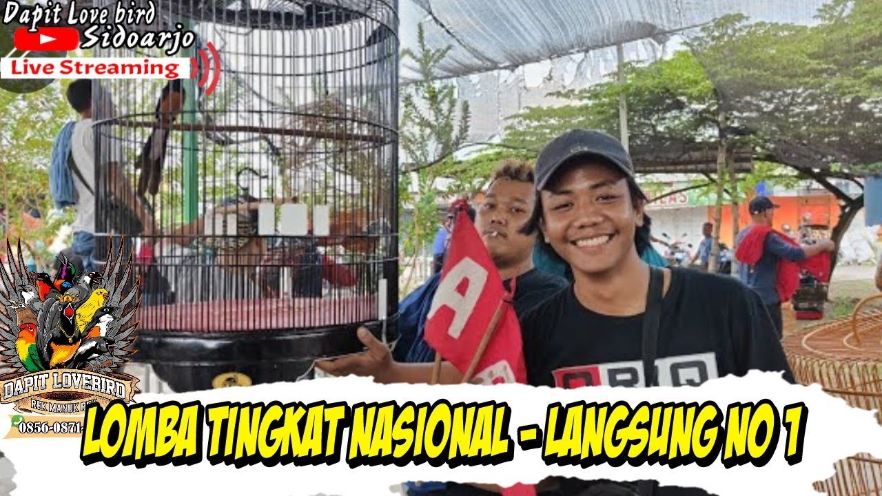 Pendaftaran Lomba Murai Batu Online: Ikuti dengan Mudah dan Cepat Pendaftaran Lomba Murai Batu Online: Ikuti dengan Mudah dan Cepat