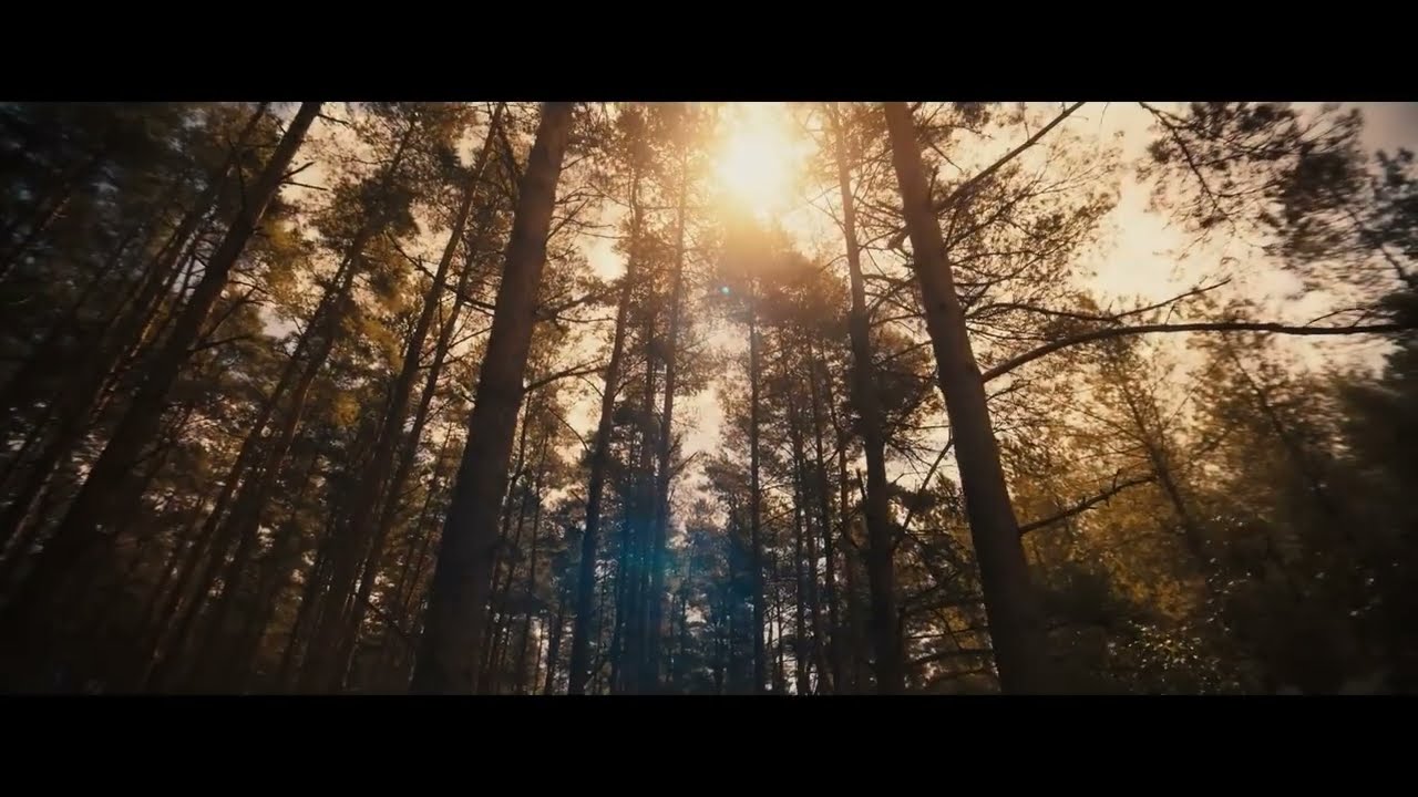 Avengers: Doomsday – Multiverse Ka Antim Din | Only in Cinemas 2026