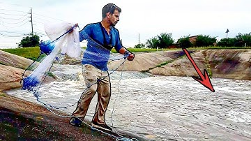 What Happens When You Cast Net A Spot That Holds EVERYTHING??? (EPIC RESULTS!)