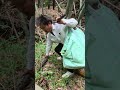 ヒカル社長タケノコ回収‼️