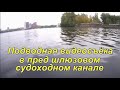 Подводный мир судоходного канала. 25.09.2021