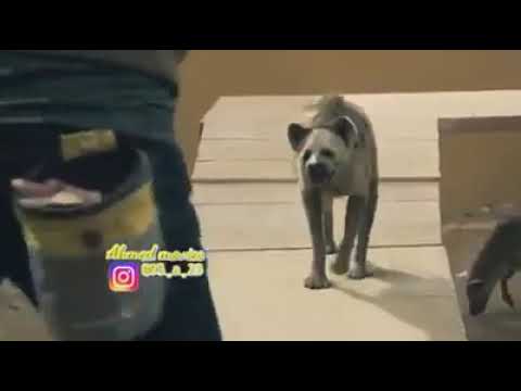 الصحاب وقت الشده