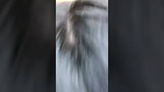 Transformation Grwm Tiktok Transformation Idea Ayesha Yusuf