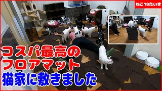 格安でコスパ最高のノンスリップフロアマットを猫家に敷きました R2.11.24